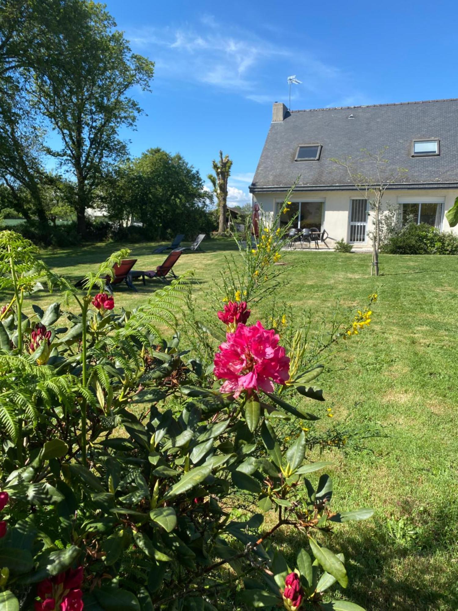 Terre D'Ajoncs Villa แซงต์ฟิลิแบร์ ภายนอก รูปภาพ